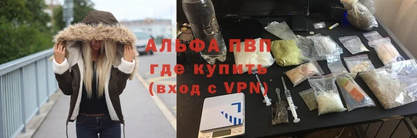 стаф Гусь-Хрустальный