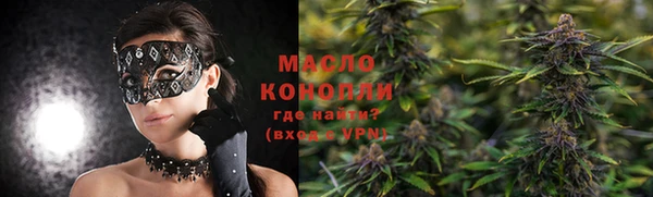 стаф Гусь-Хрустальный
