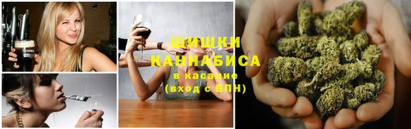 молекула духа Гусев