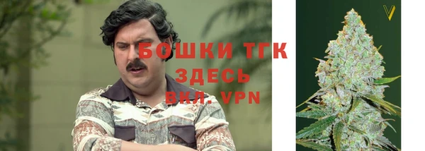 гидра Гусиноозёрск