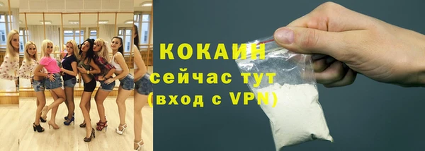 стаф Гусь-Хрустальный
