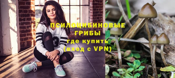гидра Гусиноозёрск