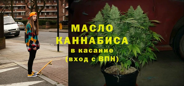 гидра Гусиноозёрск