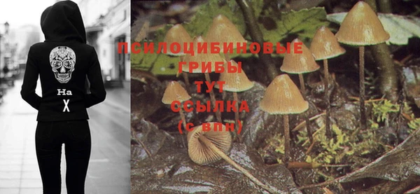 гидра Гусиноозёрск