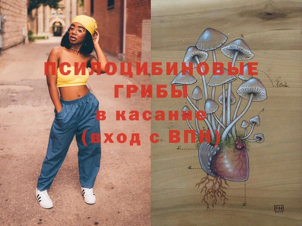 молекула духа Гусев
