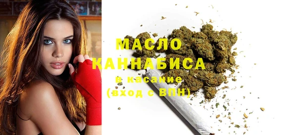 молекула духа Гусев