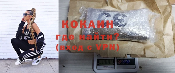 гидра Гусиноозёрск