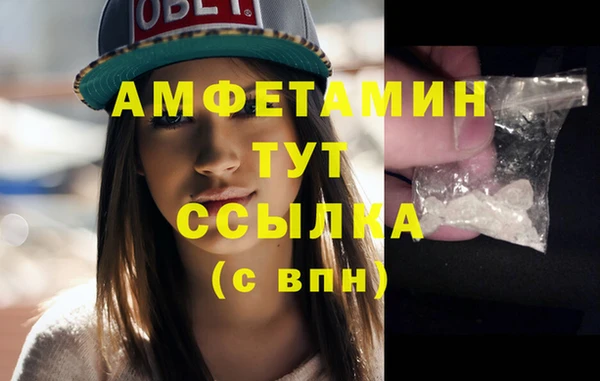 стаф Гусь-Хрустальный