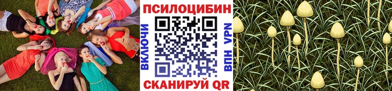 Псилоцибиновые грибы мухоморы  купить   Дятьково 