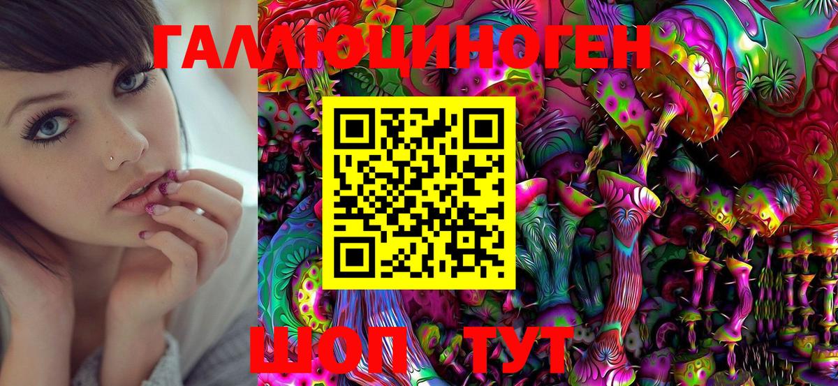 Дятьково  наркошоп  Вход с VPN  Псилоцибиновые грибы MAGIC MUSHROOMS 